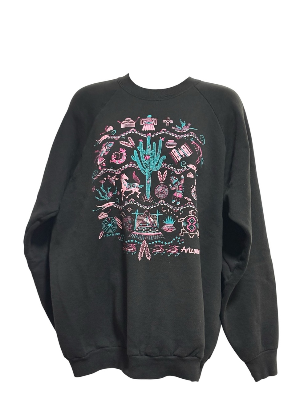 Vintage Arizona Graphic Sweatshirt in Black with Teal & Pink Desert Design